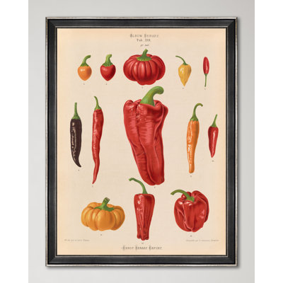 PLATE I