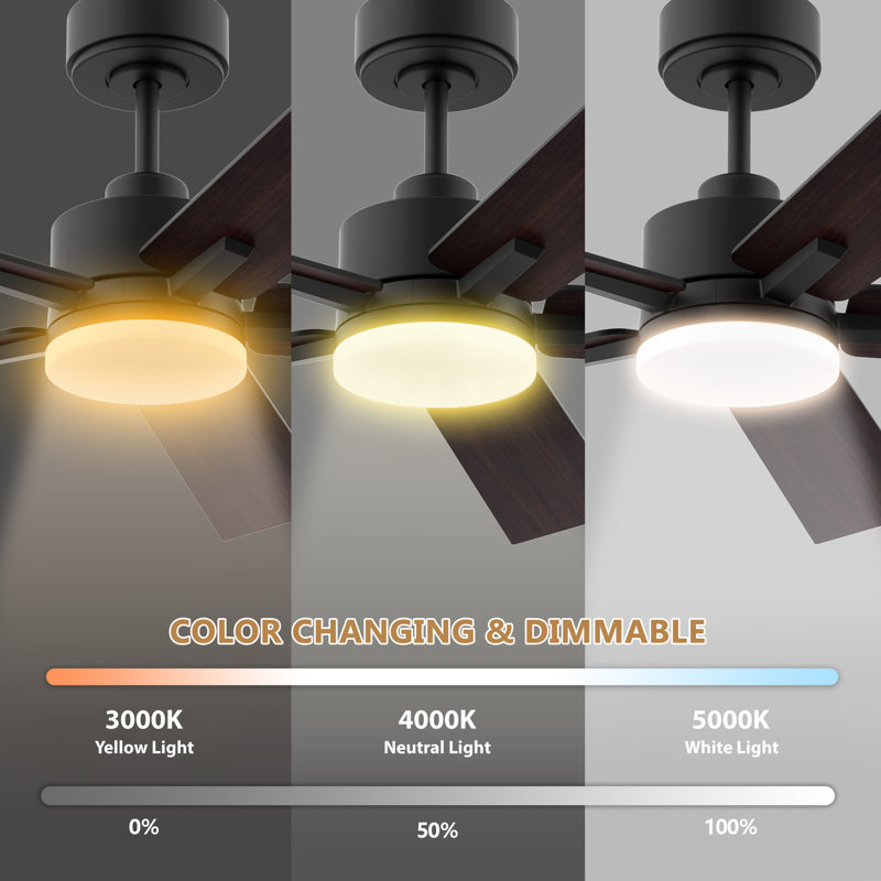Ventilateur de plafond moderne à 5 pales avec lumières, télécommande et contrôle Alexa, moteur à courant continu silencieux, à intensité variable, intérieur extérieur