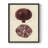 " Vintage Floral Print "-1728727179-1728727220