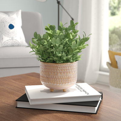 Eucalyptus artificiel 4,5 po en pot