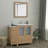 42" Single Bathroom Vanity with Top with Mirror-107174103
