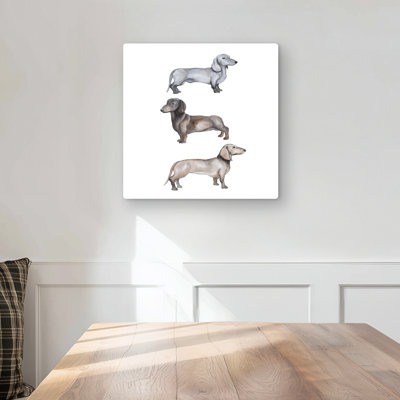 Dachshund Dogs Metal Print | Charming Bedroom Decor for Pet Lovers