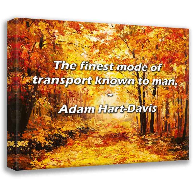 Adam Hart-Davis Citation: Le meilleur mode de transport connu de l'homme., H 26 po x l 32 po