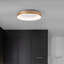 LED Flush Mount-1411380936-1411127515-1411127514