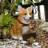 Tan polyresin Welsh Corgi dog statue with reversible sign for indoor/outdoor decor — 11.5" H x 13.5" L x 5.5" W