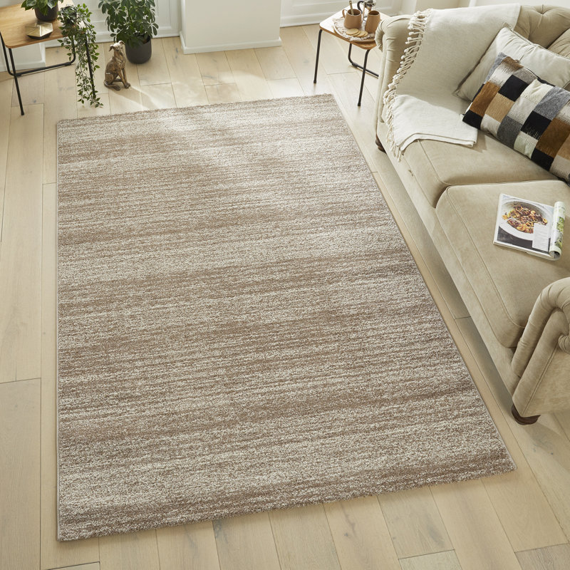 Plush Beige Area Rug, Rectangle 160 x 230 cm