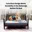 Canapé pour chien Maharaja Howser