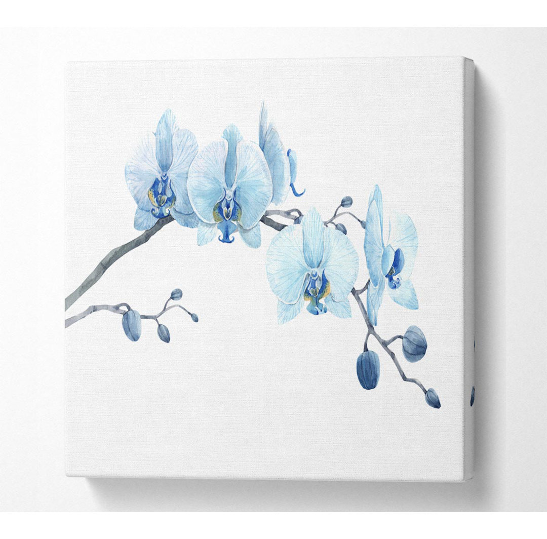 The Blue Orchid Curve - Kunstdrucke auf Leinwand