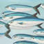 Petit poisson de caesio caerulaurea - décor de toile marine