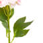 Vintage Hollyhock Floral Stem Tall-1176745935