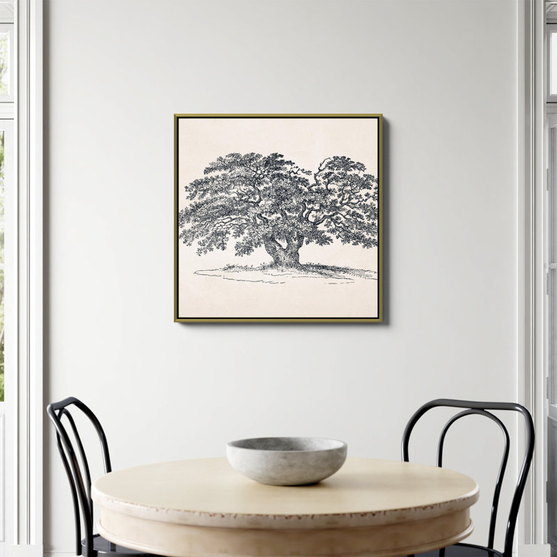 "Wide Oak Tree Sketch" by Apolo Print, No, 30" H x 30" W, Gold Floater Framed Canvas