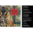 Brindle Boerboel Christmas PoinsettIas Kitchen Towel-2080583725