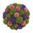 Sedum and Dahlia Arrangement