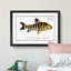 Streaked Salmon Fish by M.E. Bloch - Framed Print-55615632-55615637
