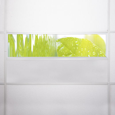 Tree Rectangle Fixture Component Ceiling Light