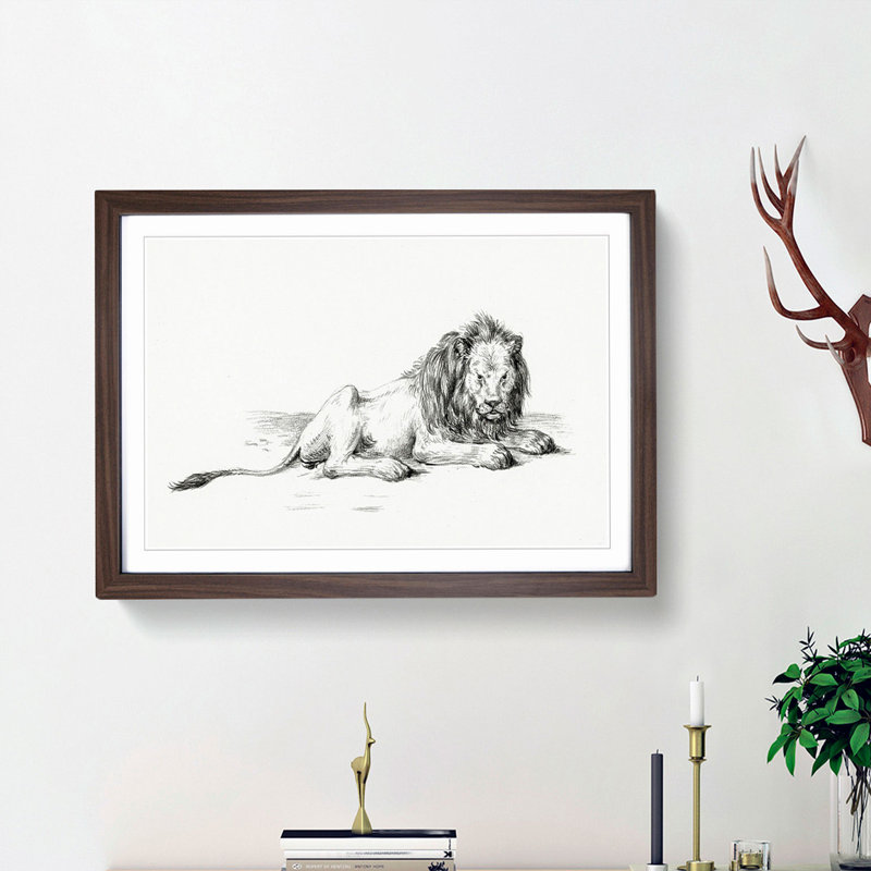 Sketch of a Lion by Jean Bernard - Picture Frame Drawing Print, Walnut Framed, 27cm H x 36cm W x 2cm D