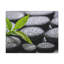 No Frame Print on Canvas-996708245
