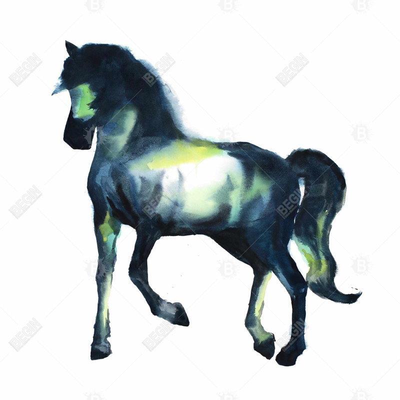 " Elegant Horse "