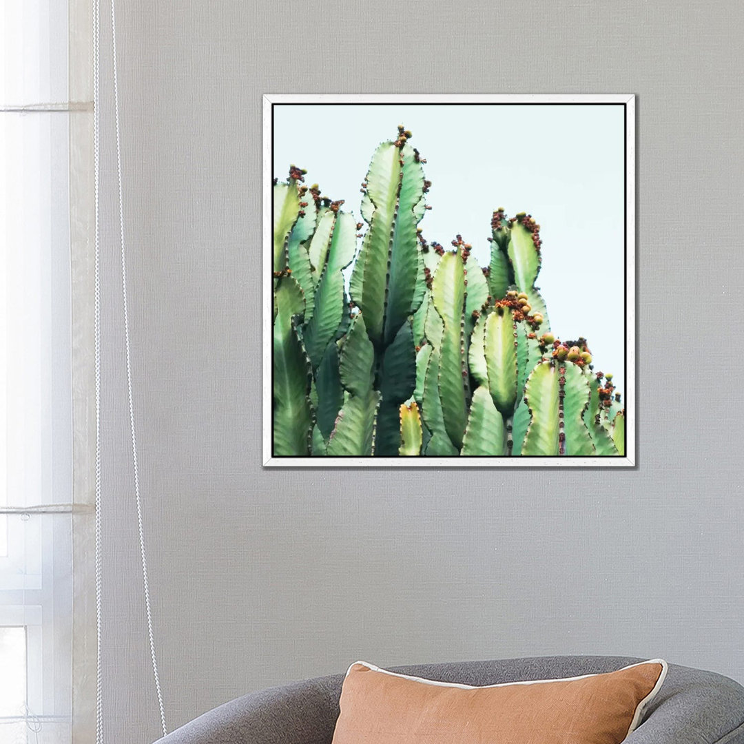 Leinwandbild Cactus Love von 83 Oranges