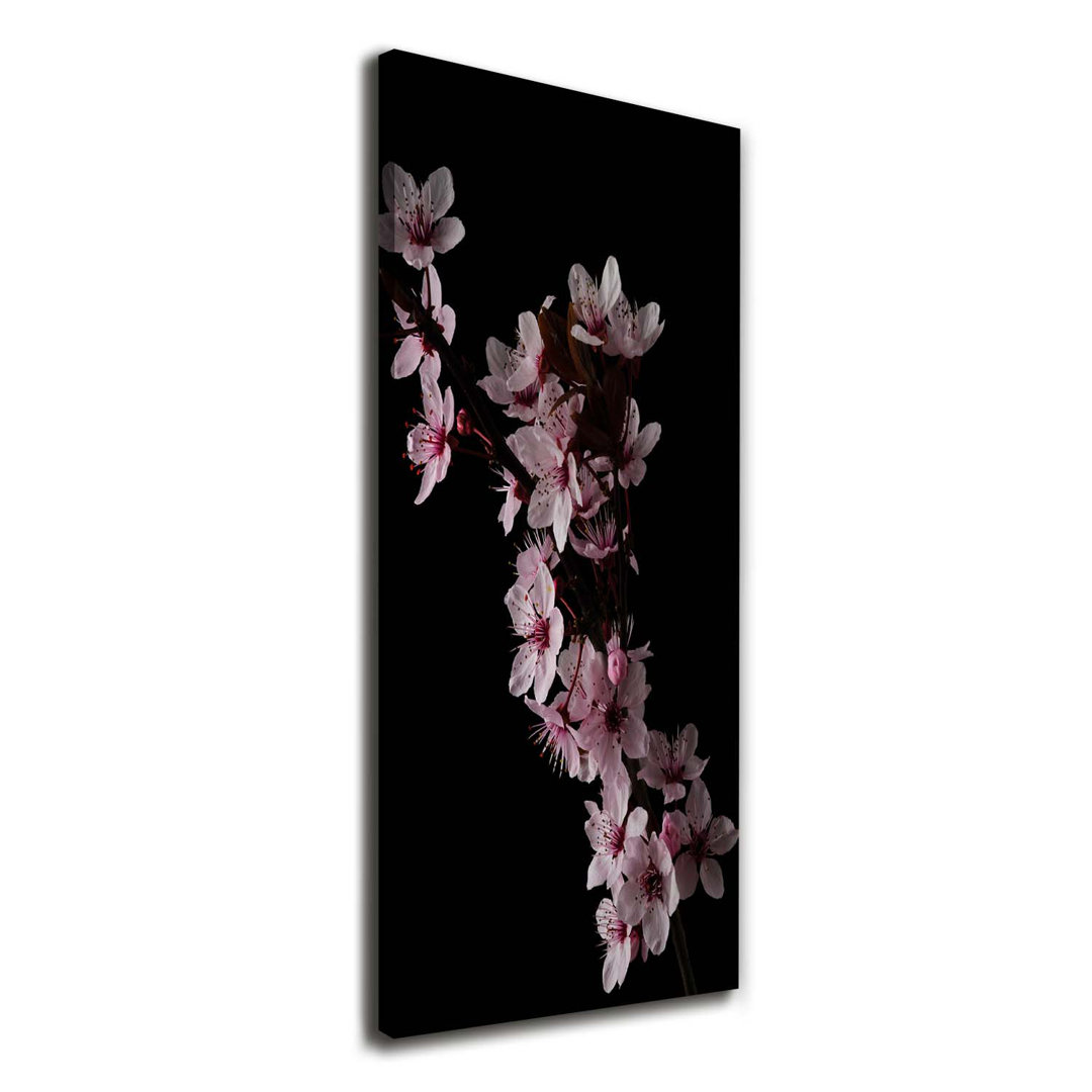 Cherry Blossoms - Wrapped Canvas Print