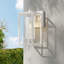 Tiernan 1-Light Outdoor Wall Lantern-116313863-116313861