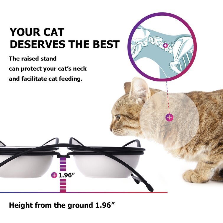 Y YHY Elevated Cat Food Elevate Feeder & Reviews