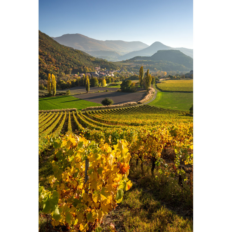 Vineyards Hautes-Alpes, France 1 Piece Wrapped Canvas Wall Art, 30cm H x 20cm W
