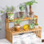 Plant Stand
