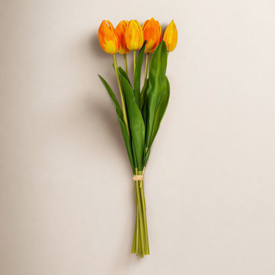Jasiah Tulip Floral Stems