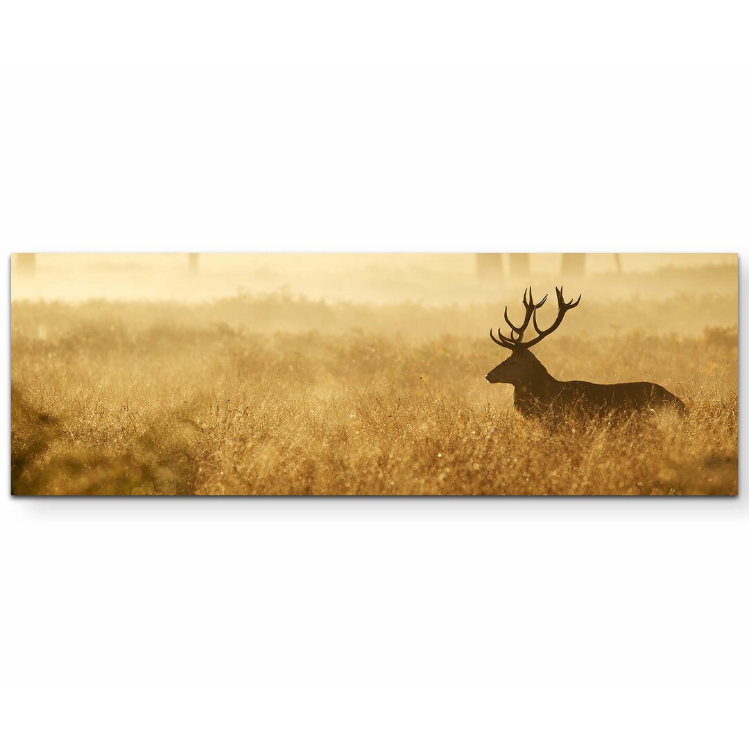 Leinwandbild Silhouette eines Hirsch im Wald