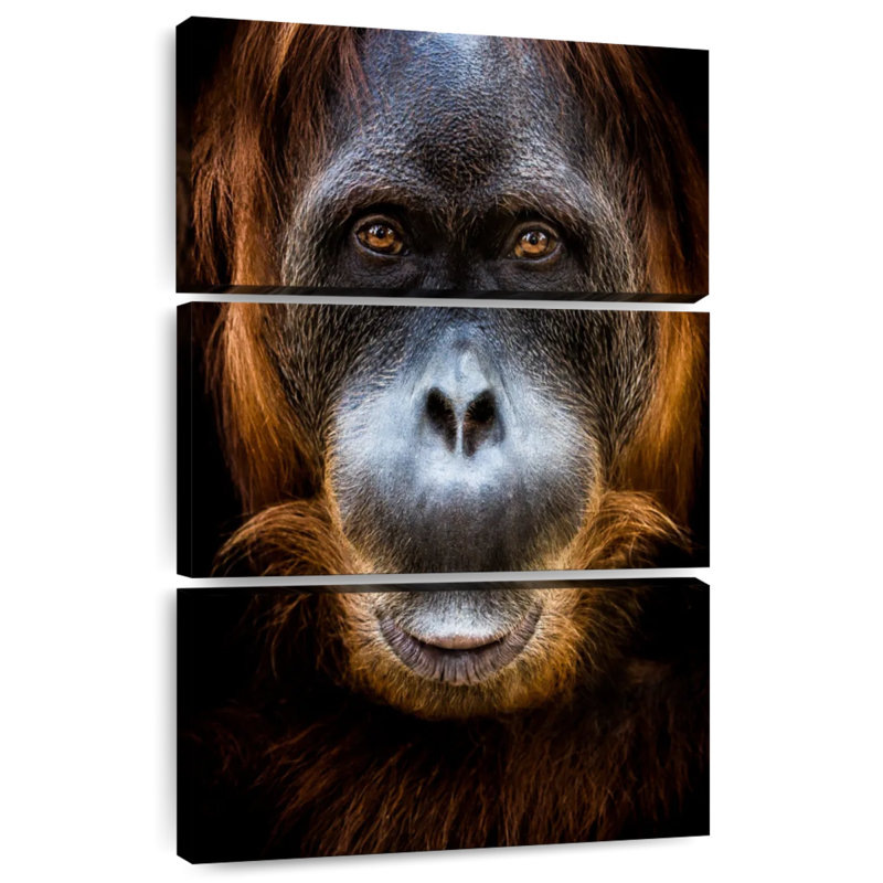 Visage d'orang-outan Brampt, H 74 po x l 48 po