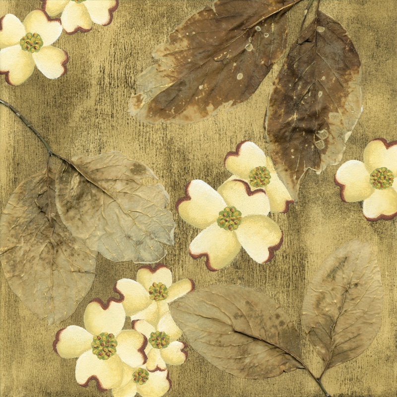 Sun-Kissed Dogwoods II by Nancy Slocum - Wrapped Canvas Print, 30cm H x 30cm W x 3.8cm D