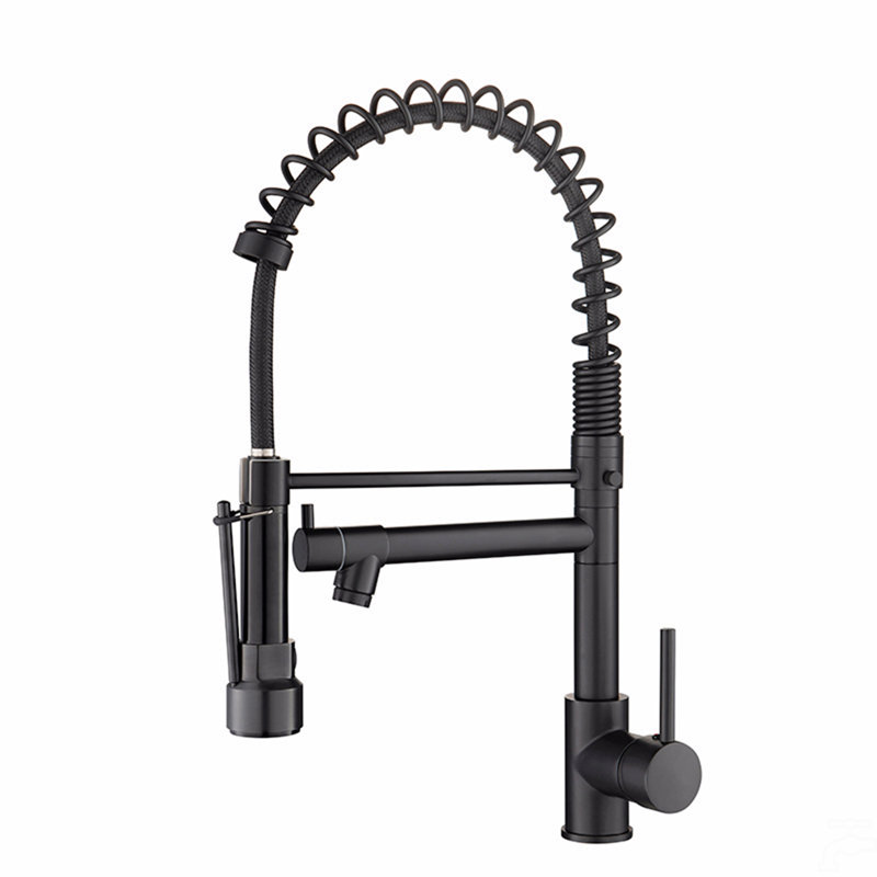 Robinet de cuisine avec douchette rétractable, robinet d'évier de cuisine à poignée simple