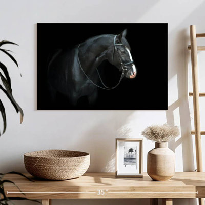 Brampt Thoroughbred Trakehner Horse