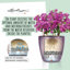 Classico Pot Planter-16493098-16493103