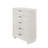 Aderyn 31.1" W 5-Drawer Tall Dresser