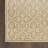 Nourison Washable Charm 8' x 10' Beige Ivory Contemporary Indoor Rug-117807385