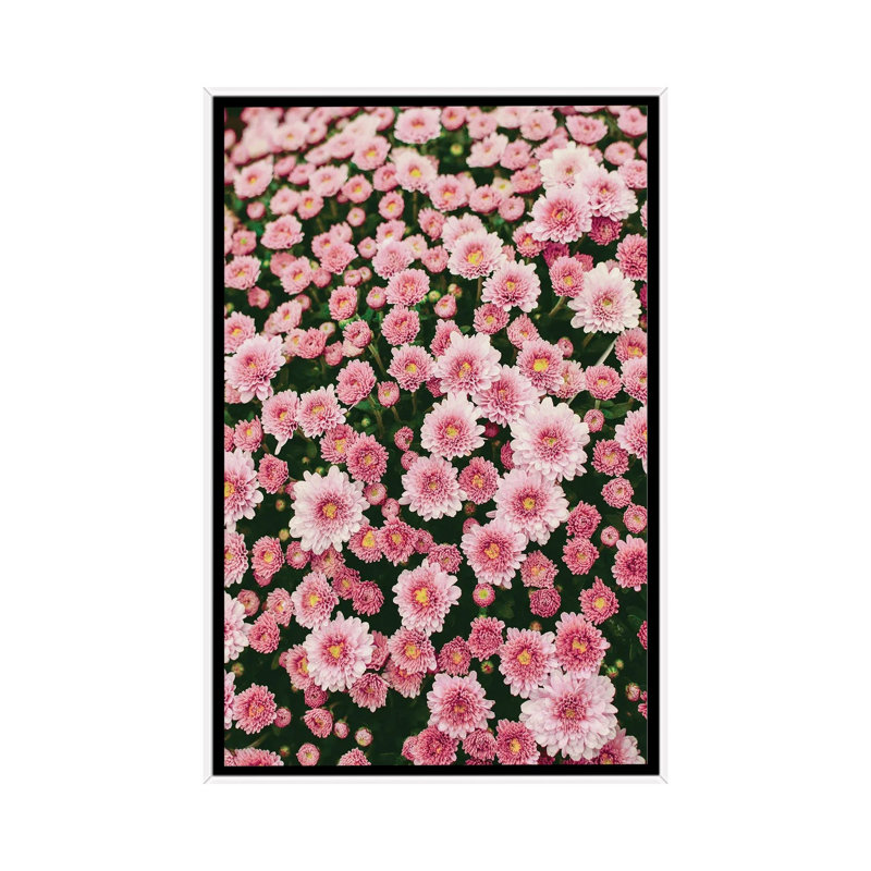 Bloom Abundantly by Olivia Joy StClaire - Print on Canvas