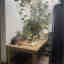 Photos des clients 4 de 4