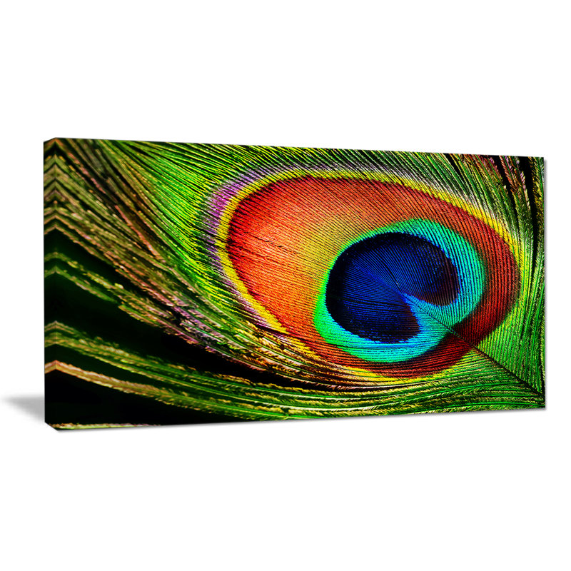 «Peacock Feather», impression, H 16 po x l 32 po x P 1 po, Toile tendue