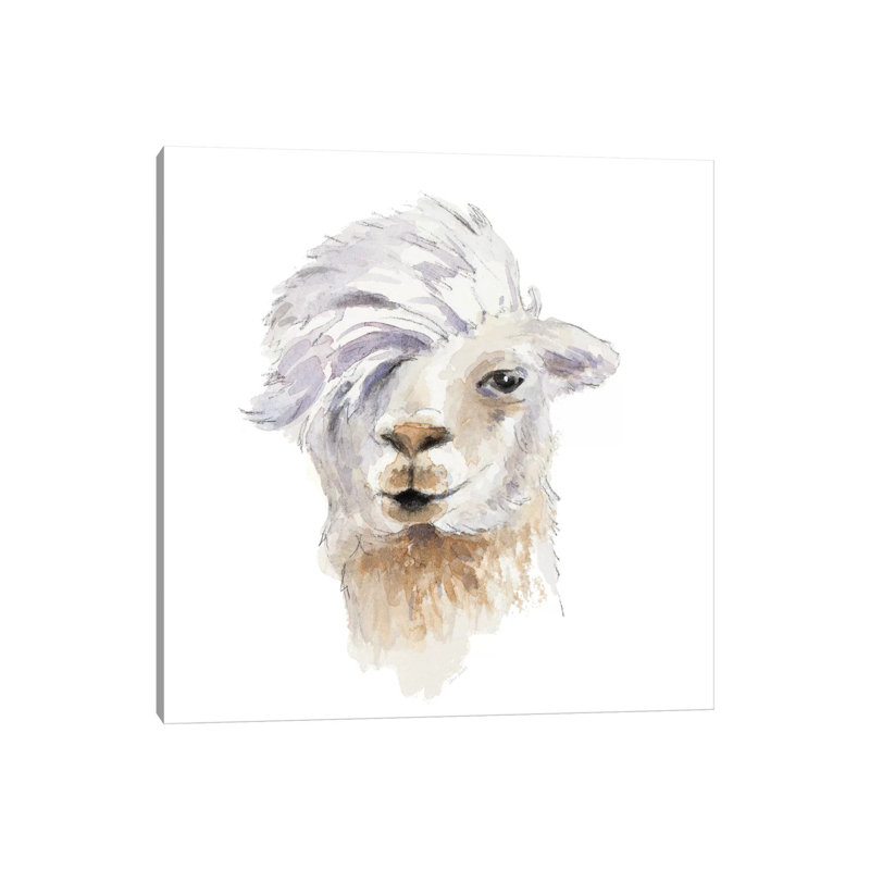 Comb Over Llama by Lanie Loreth - Wrapped Canvas Gallery-Wrapped Canvas Giclée, 66.04 cm H x 66.04 cm W x 1.91 cm D