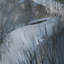 «Harine and Willows II» par Studio, œuvre d'art encadrée texturée matte sous verre-593245280