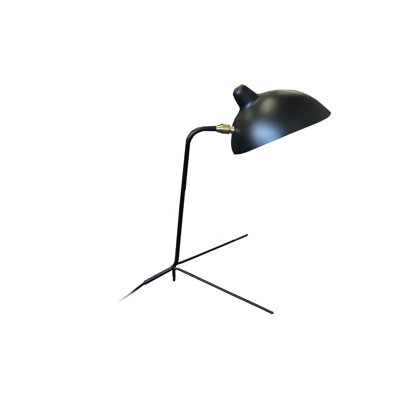 Lampe de bureau 19 po Pola