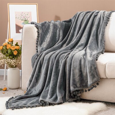 Dakota Fields Woven Throw Blanket & Reviews | Wayfair