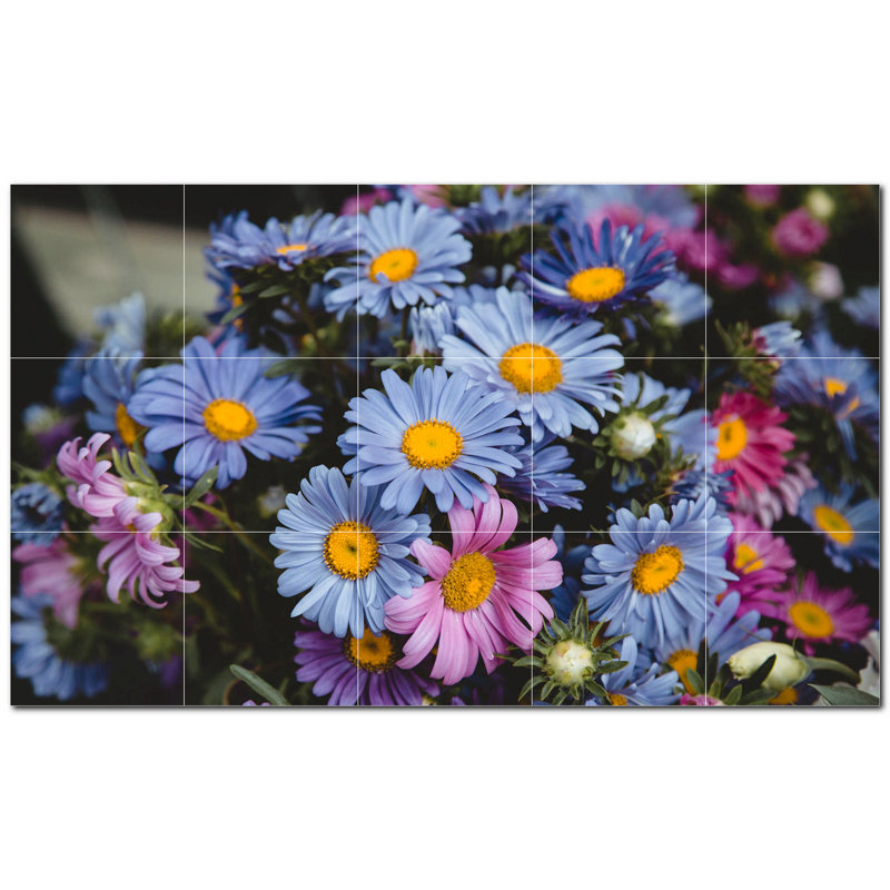 Fleurs photo 12 x 12