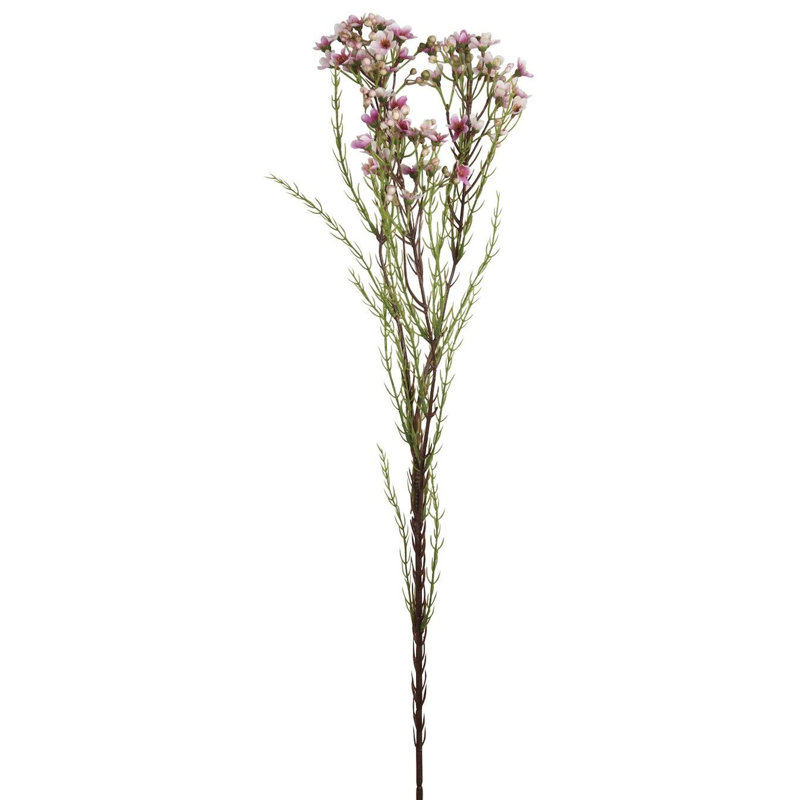 Tige de fleur de cire, Rose