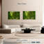Bambou Alvord-107688532