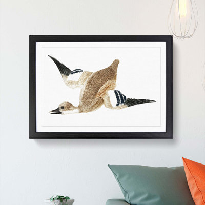 Flying Duck by Johan Teyler - Framed Print