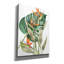 «Botanical Birds Of Paradise» par Kathleen Parr, art mural sur toile-1244613964