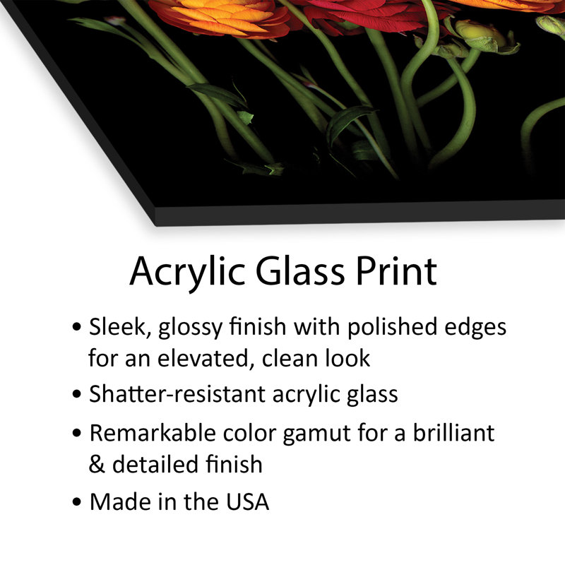 Ranunculus IV Print On Acrylic Glass